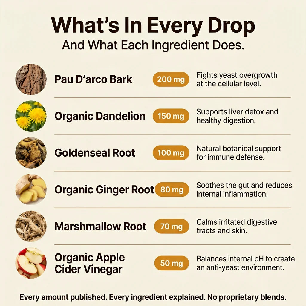 Rebalance Yeast Overgrowth in Just 14 Days with Pau D'arco & Ginger