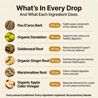 Rebalance Yeast Overgrowth in Just 14 Days with Pau D'arco & Ginger