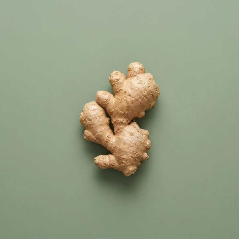 Ginger Extract