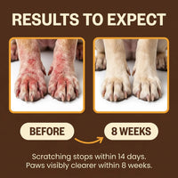 Rebalance Yeast Overgrowth in Just 14 Days with Pau D'arco & Ginger